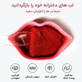 ماسک لب (پچ لب) مدل گیلاس حجم 60 میلی لیتر بسته 20 عددی